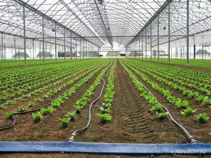 قیمت نوار تیپ آبیاری گلخانه خرید ارزان و با صرفه